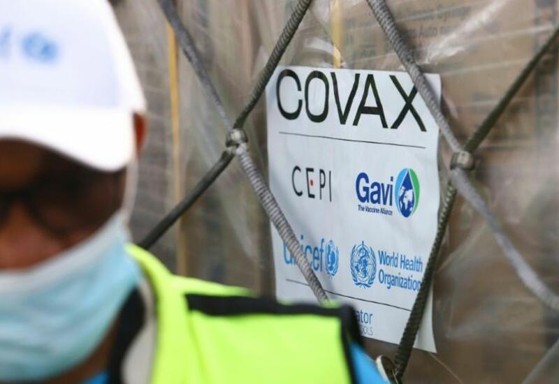 COVAX призвал признать вакцины от COVID-19, одобренные ВОЗ, ЕС и 10 западными странами