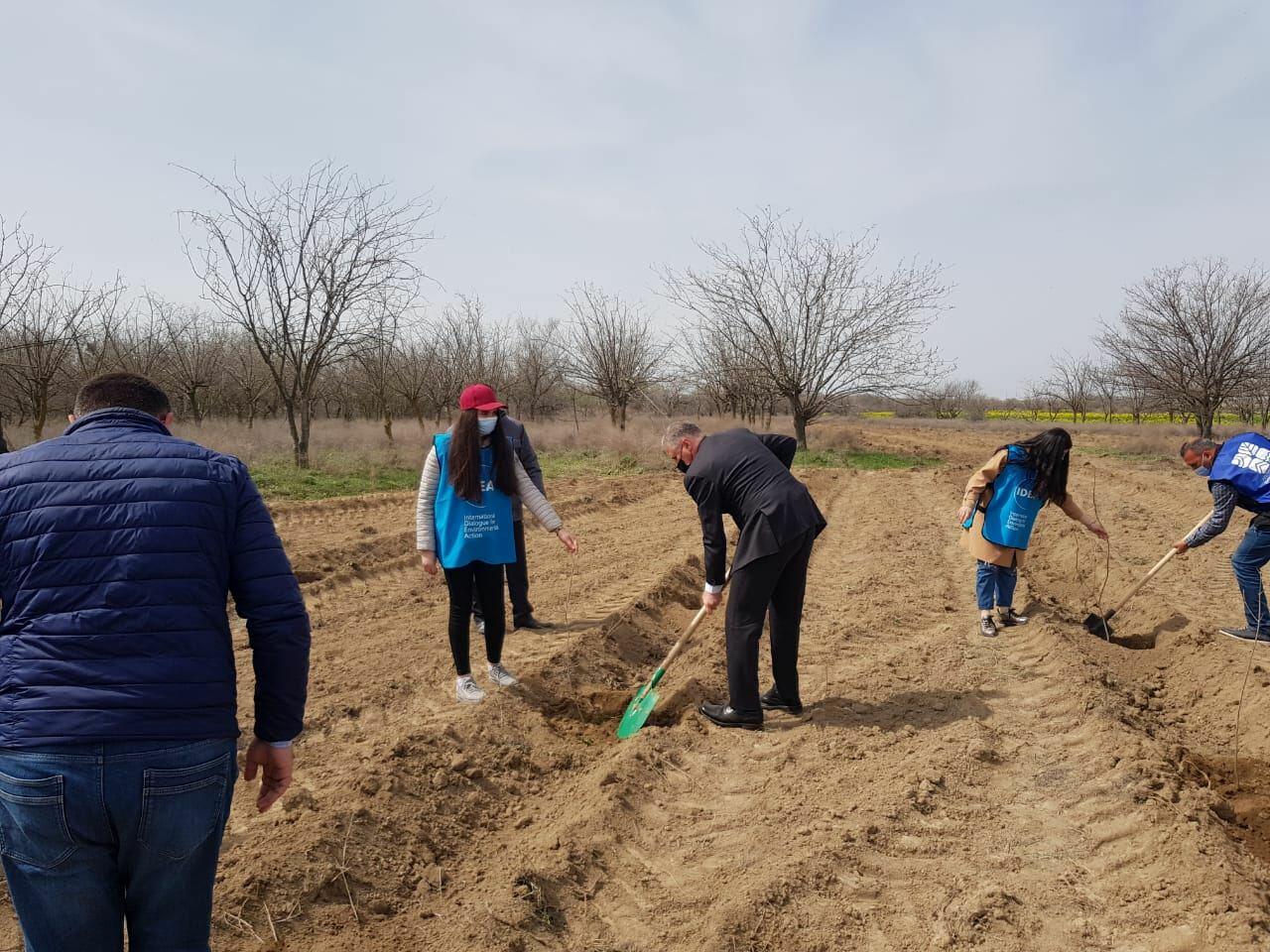 В Азербайджане продолжаются акции по посадке деревьев в рамках «Зеленого марафона»