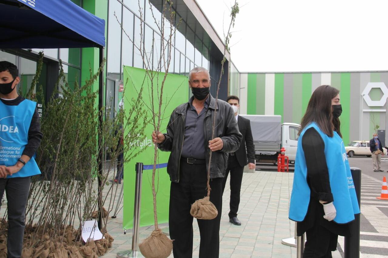 В рамках "Зеленого марафона" жителям Шамкира розданы саженцы деревьев