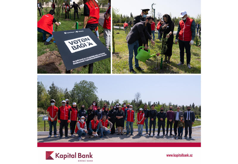 Kapital Bank и Red Hearts посадили деревья в память о шехидах