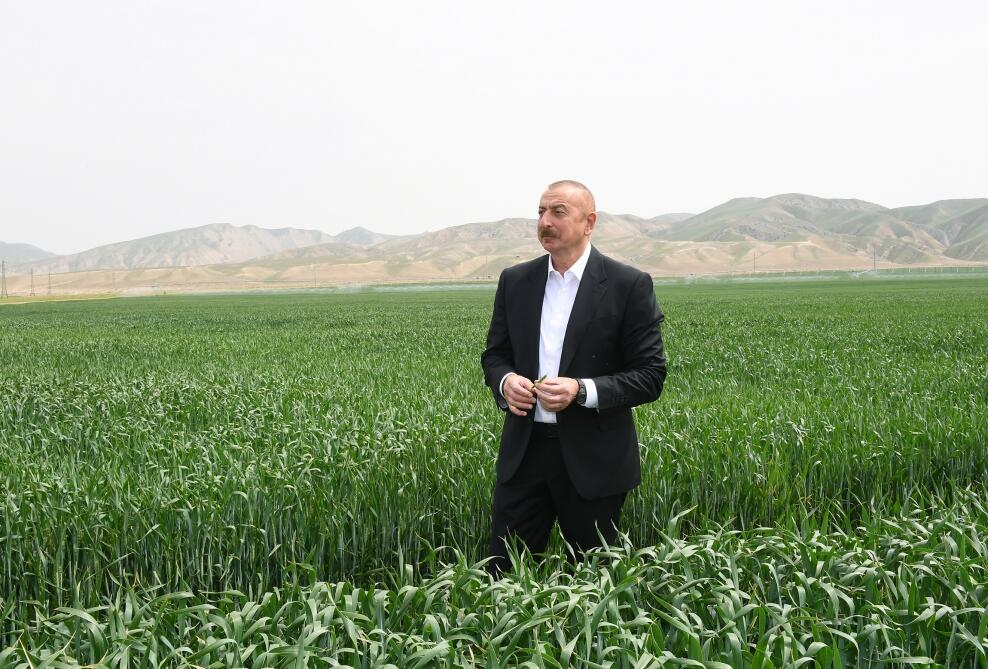 Президент Ильхам Алиев принял участие в презентации агропарка ООО Aqro Dairy в Гаджигабуле