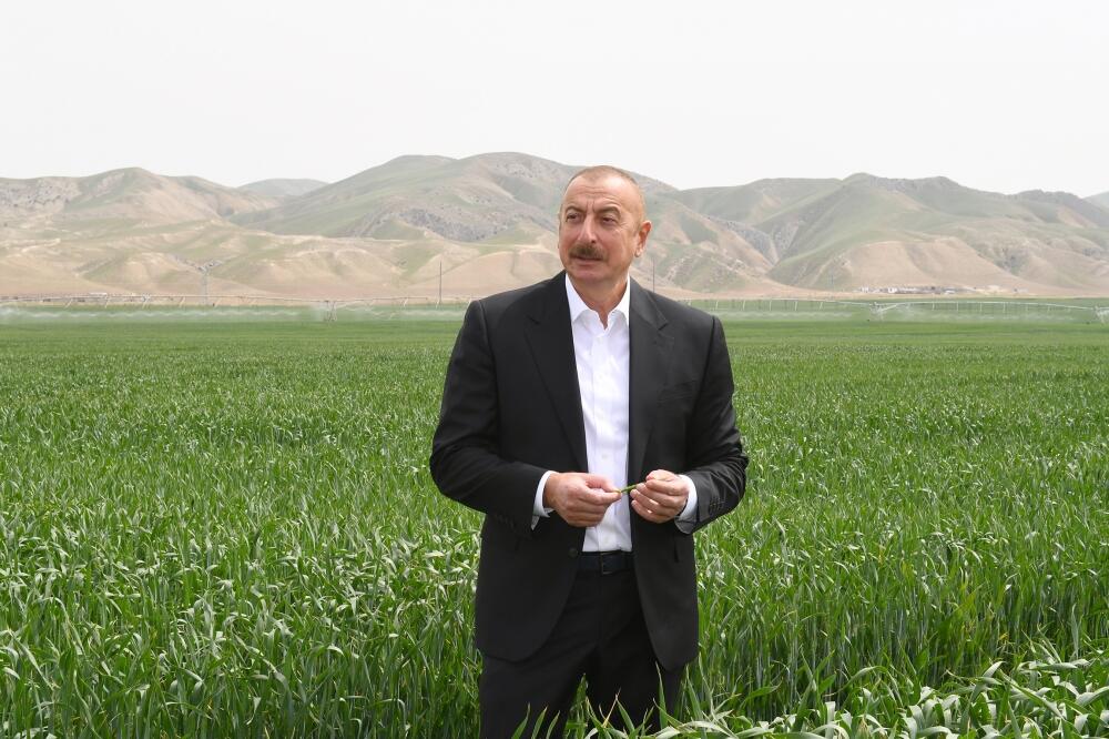 Президент Ильхам Алиев принял участие в презентации агропарка ООО Aqro Dairy в Гаджигабуле