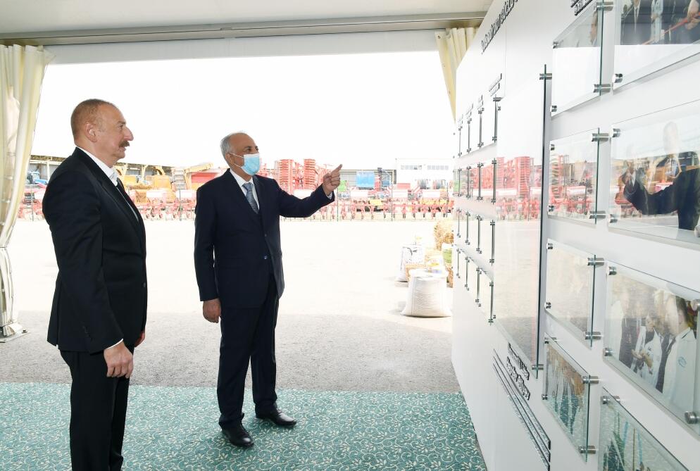 Президент Ильхам Алиев принял участие в открытии «Шамахинского агропарка Азерсун» в Гаджигабуле