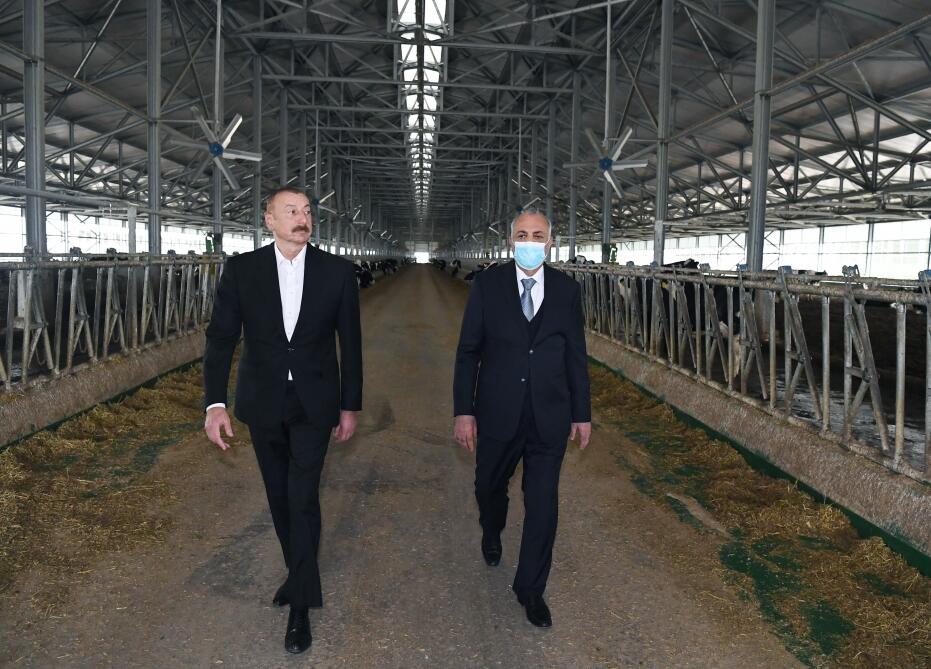 Президент Ильхам Алиев принял участие в открытии «Шамахинского агропарка Азерсун» в Гаджигабуле