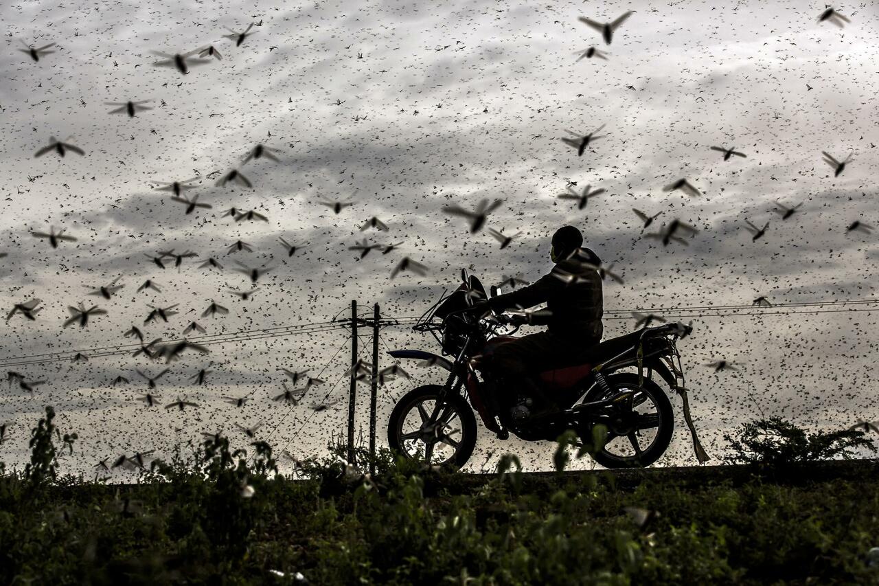 Объявлены победители Sony World Photography Awards