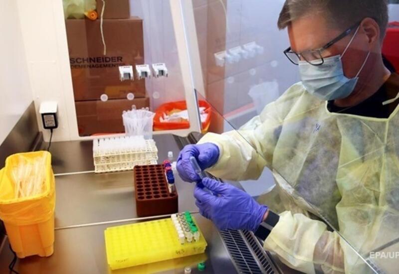 В США ученые выявили новую мутацию коронавируса
