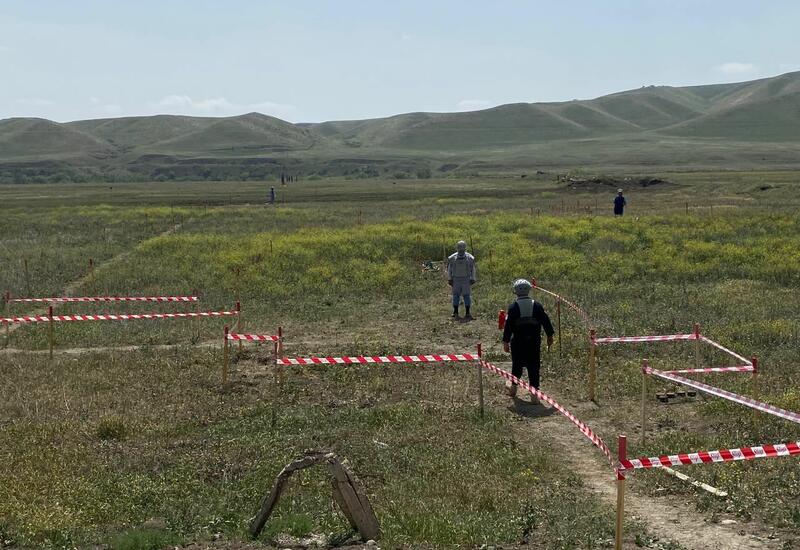 Суговушан и Талышкенд очищаются от мин для строительства ЛЭП