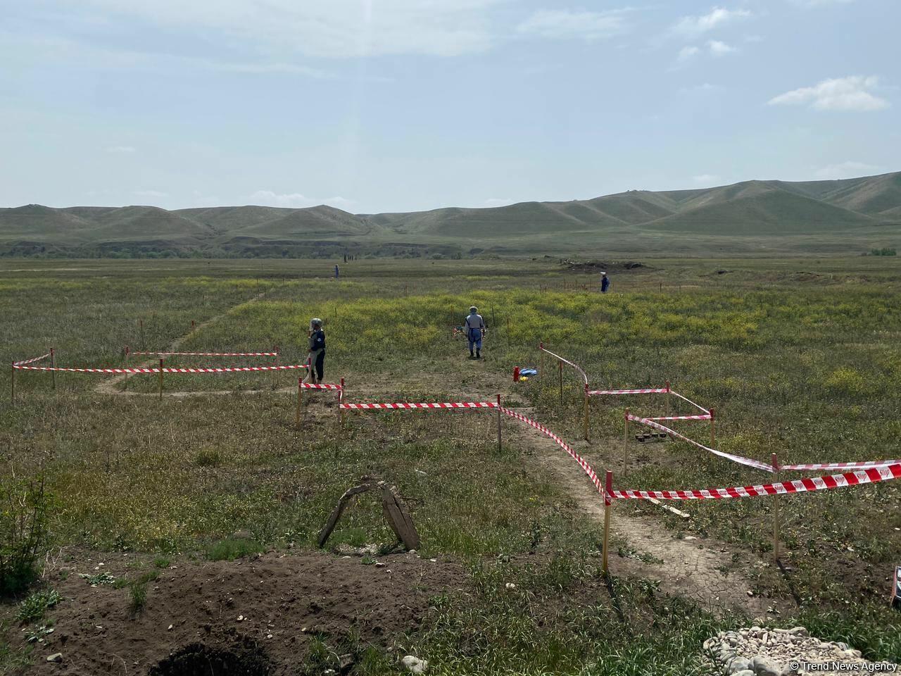 Суговушан и Талышкенд очищаются от мин для строительства ЛЭП