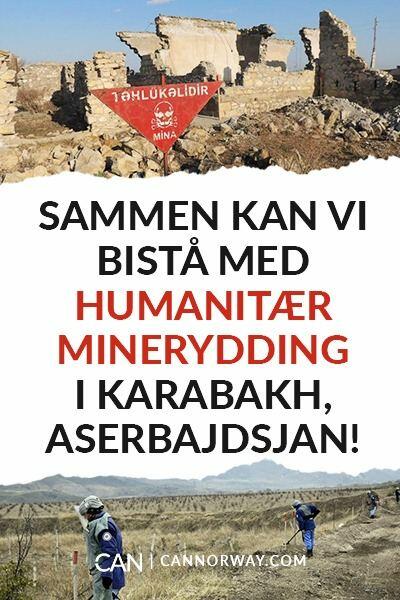 В Норвегии началась информационная кампания против неприемлемого поведения Армении