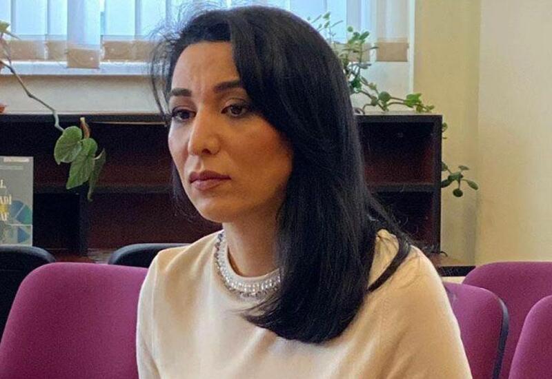 Омбудсмен Азербайджана обратилась к Совету Европы