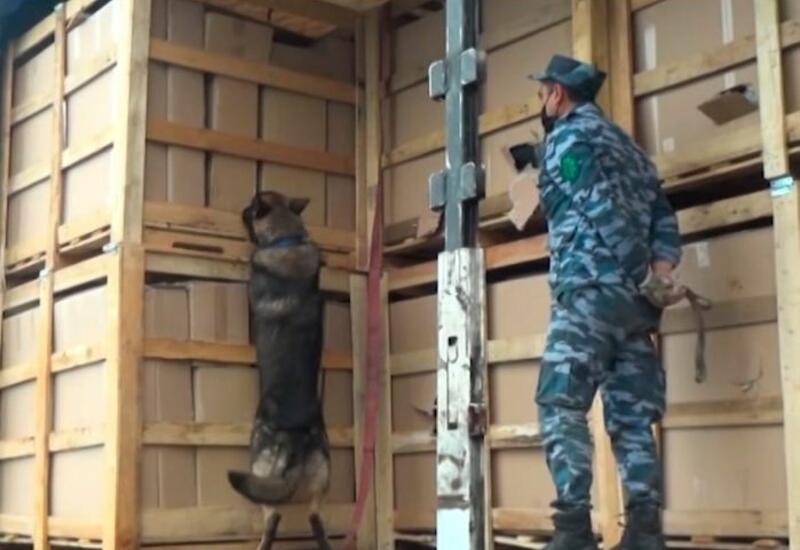 Спецоперация азербайджанских таможенников
