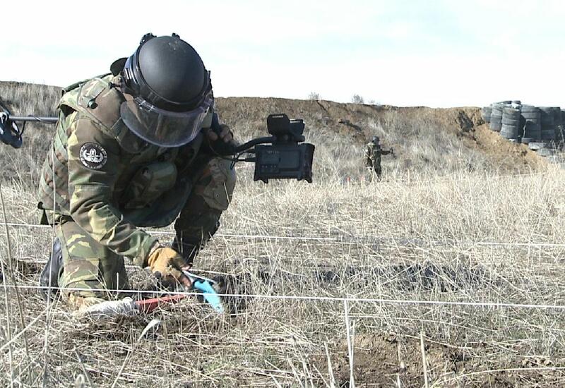 В Агдаме разминировано более 3 тыс. гектаров пахотных земель