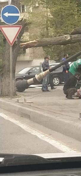 Сильный ветер повалил деревья в Баку