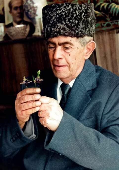 Во время исполнения "Баяты Шираз" над Джыдыр дюзю в небе парил орел