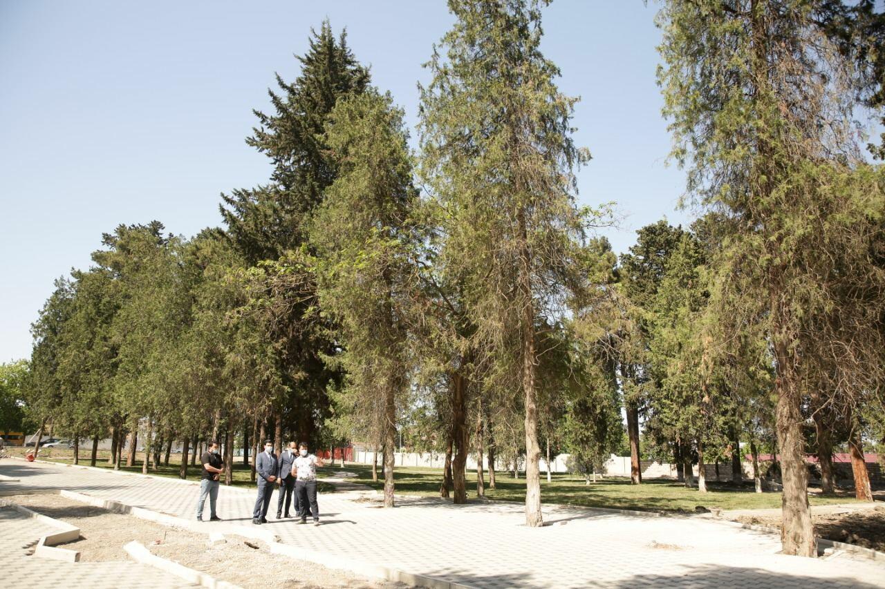 Xaçmaz rayonunda Zəfər parkı inşa edilir