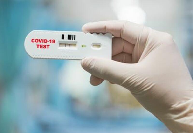В Грузии предложили сделать платными тесты на COVID-19