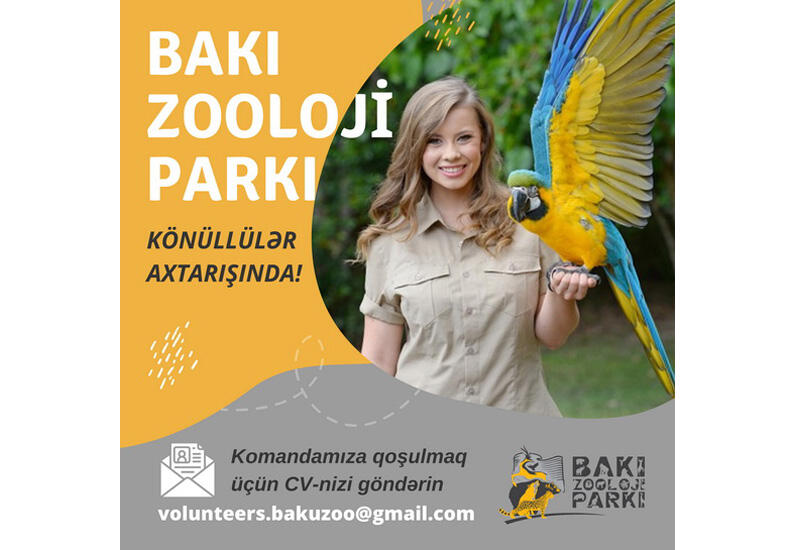 Bakı Zooloji Parkı heyvanları sevən könüllü gənclər axtarır