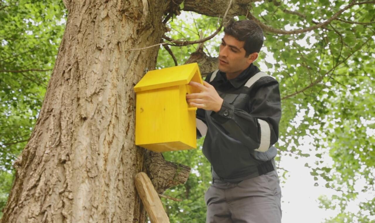 ЗАО "AzerGold" совместно с Общественным объединением "Региональное развитие" осуществило экологическую акцию