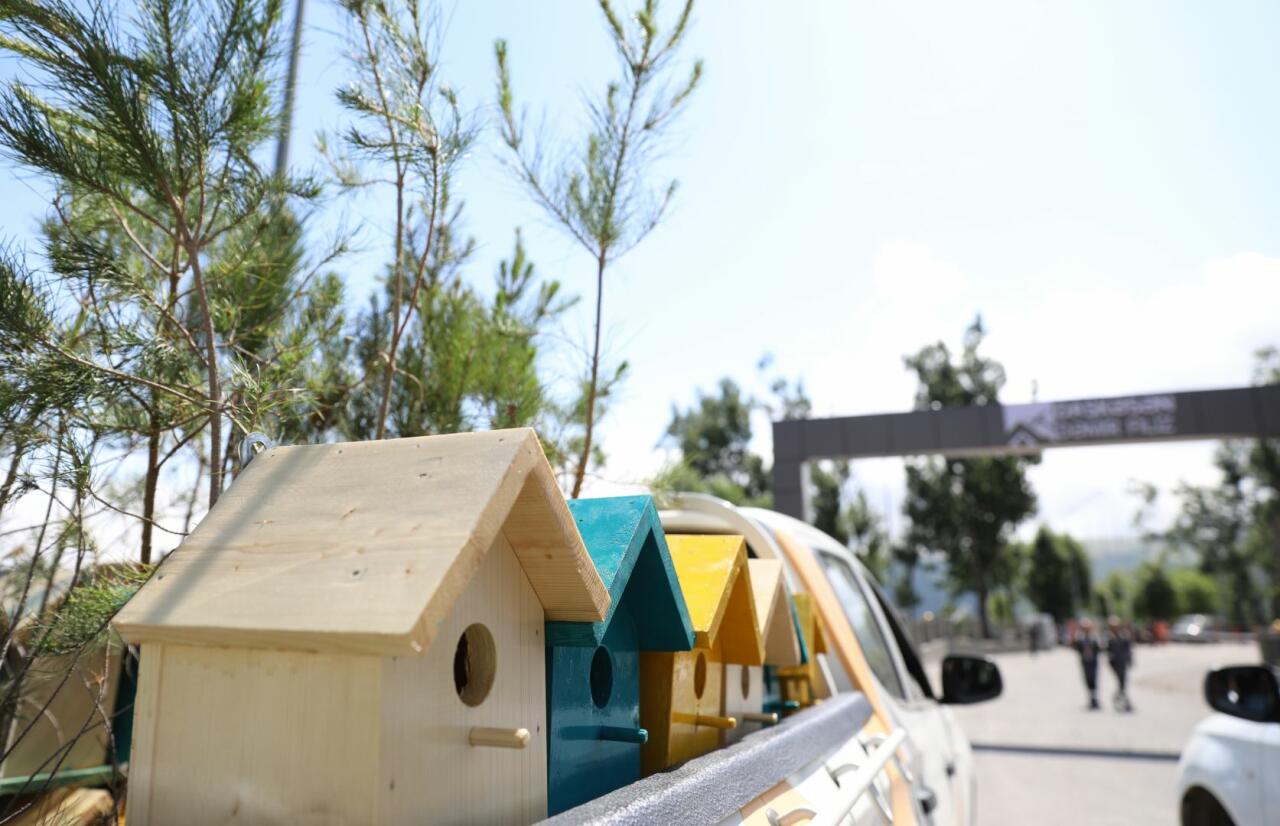 ЗАО "AzerGold" совместно с Общественным объединением "Региональное развитие" осуществило экологическую акцию