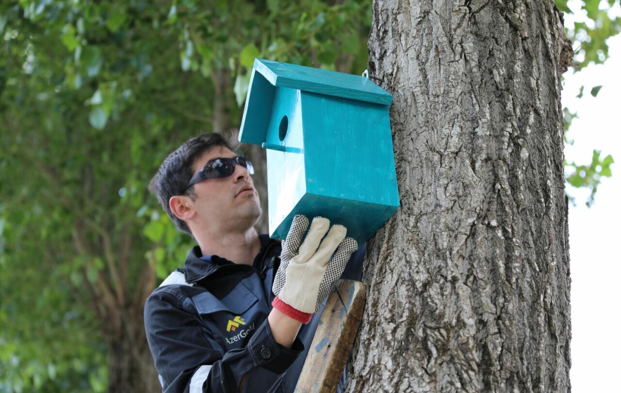 ЗАО "AzerGold" совместно с Общественным объединением "Региональное развитие" осуществило экологическую акцию