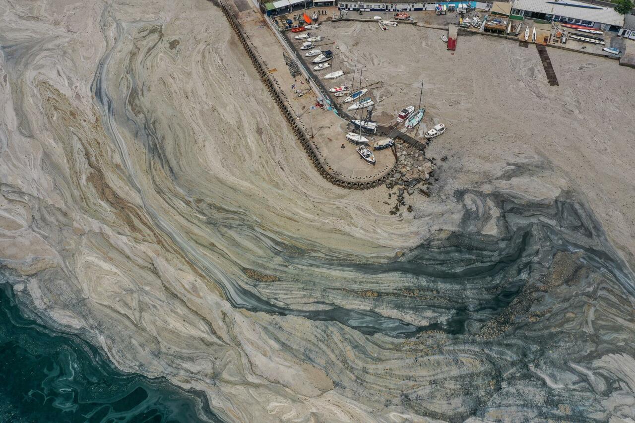 Турция очищает Мраморное море