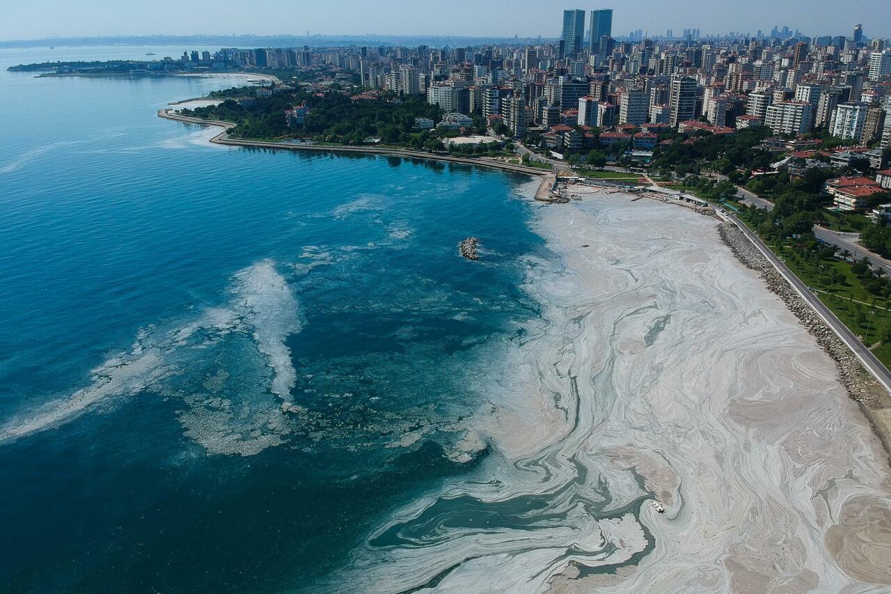 Турция очищает Мраморное море