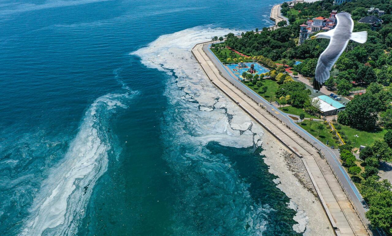 Турция очищает Мраморное море