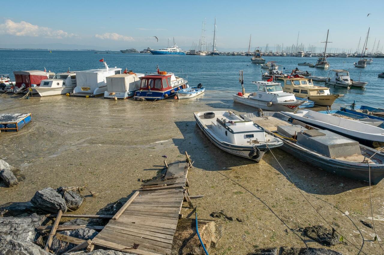 Турция очищает Мраморное море