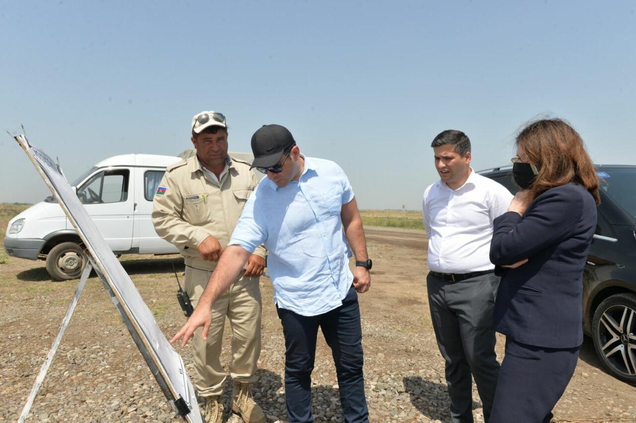 Париж должен помочь Баку в разминировании освобожденных земель
