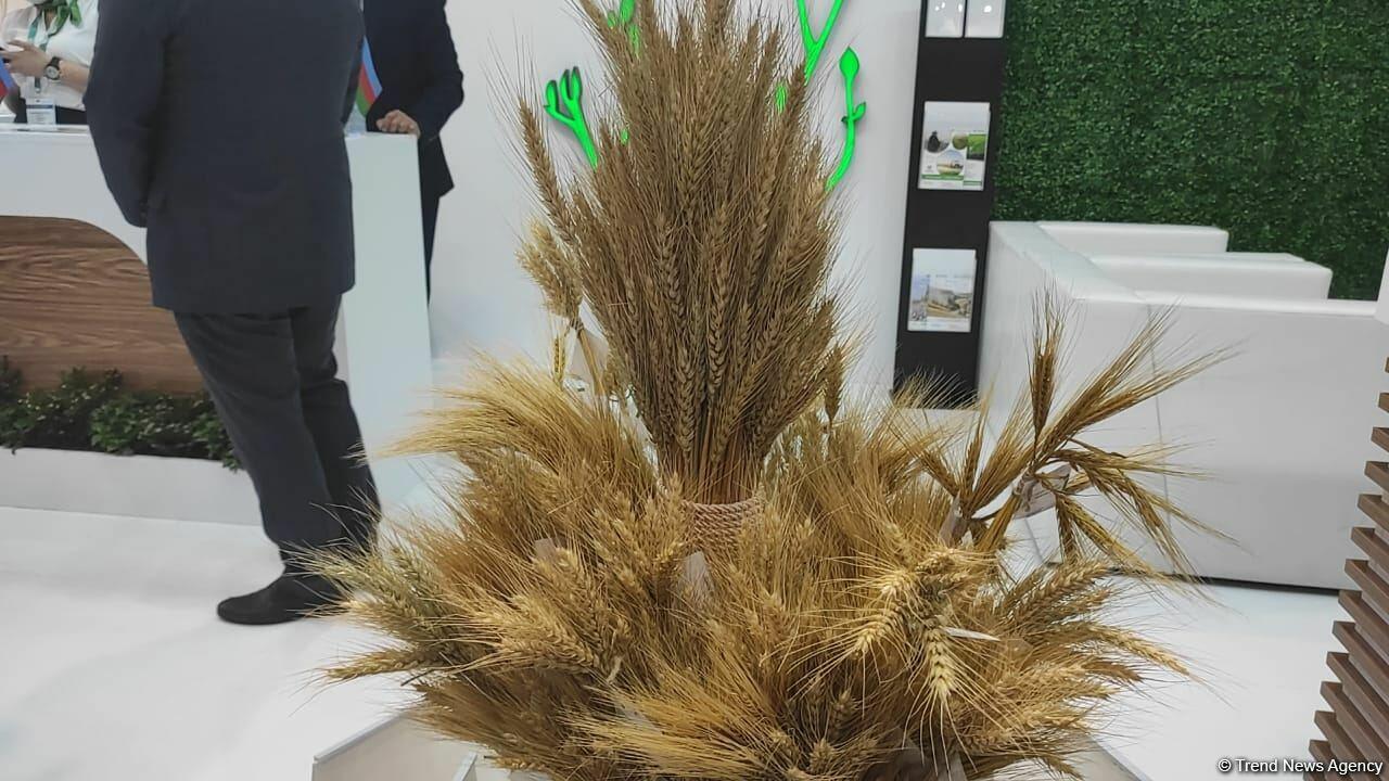 В Баку открылись выставки Caspian Agro и InterFood Azerbaijan-2021