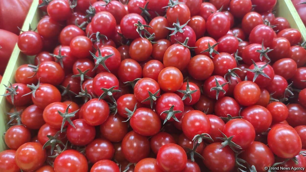 В Баку открылись выставки Caspian Agro и InterFood Azerbaijan-2021