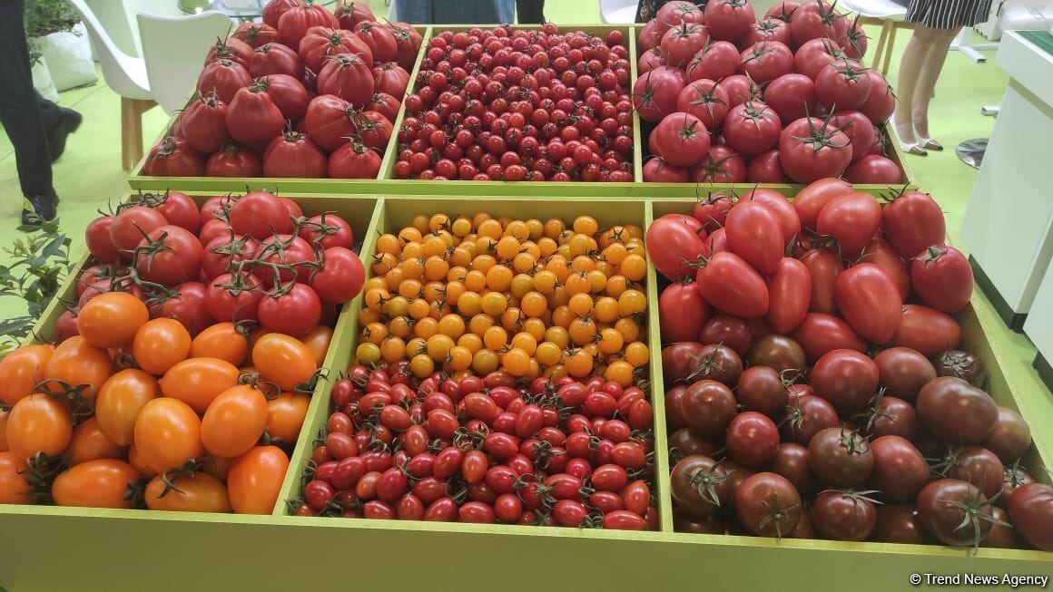 В Баку открылись выставки Caspian Agro и InterFood Azerbaijan-2021