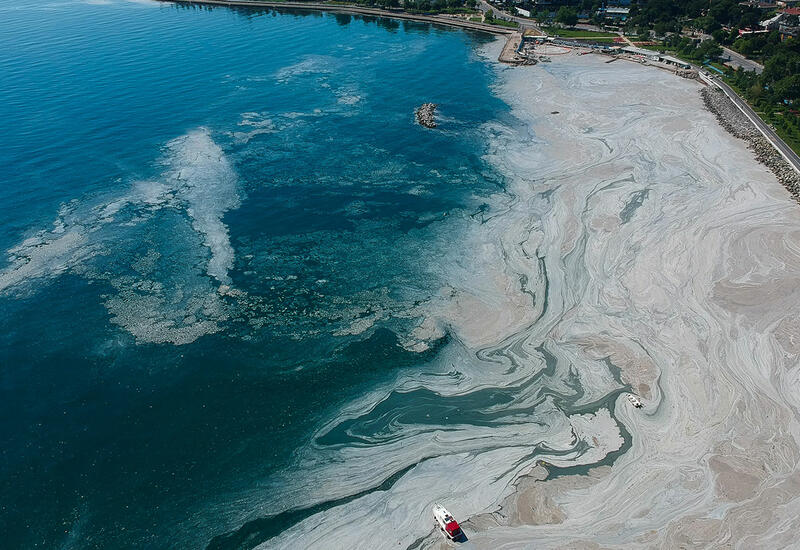Турция очищает Мраморное море