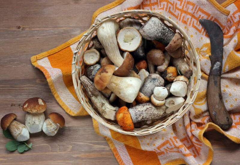 Как готовить грибы - 7 полезных советов