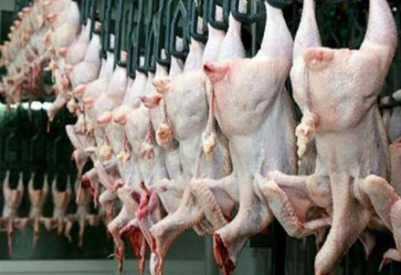 Запрещен ввоз в Азербайджан куриного мяса из более чем 40 стран
