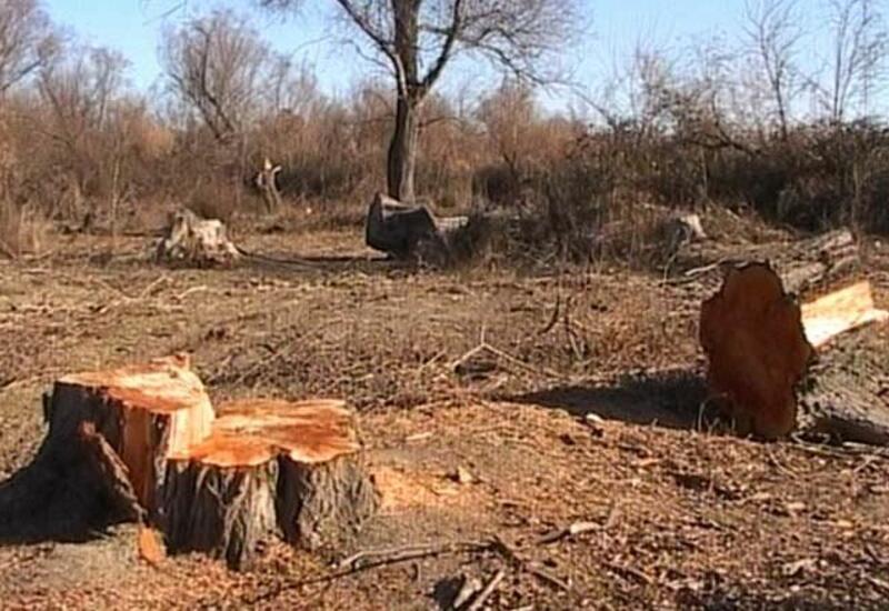 В Азербайджане 22 человека оштрафованы на крупную сумму