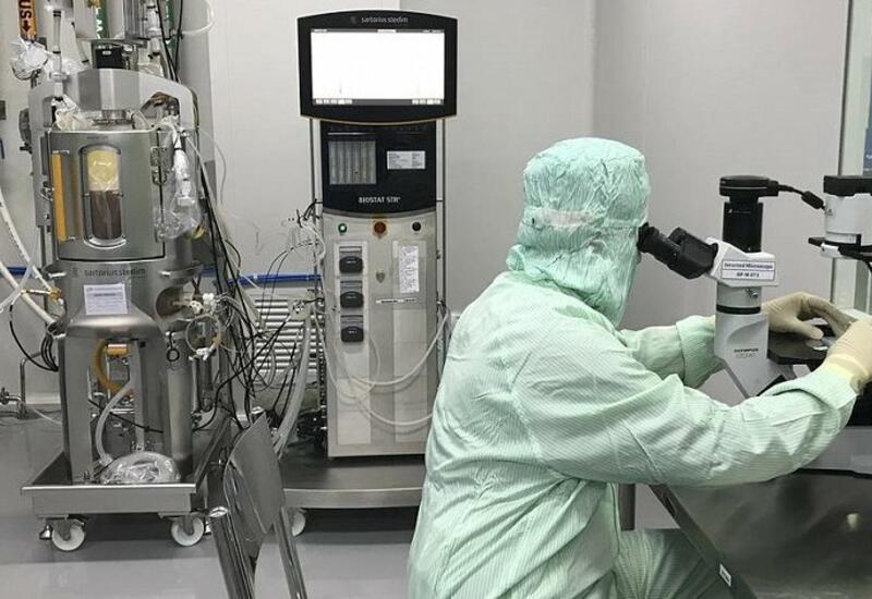 Биологи нашли белок, замедляющий развитие болезни Альцгеймера