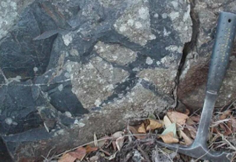 Найдены древнейшие на Земле ископаемые микробы