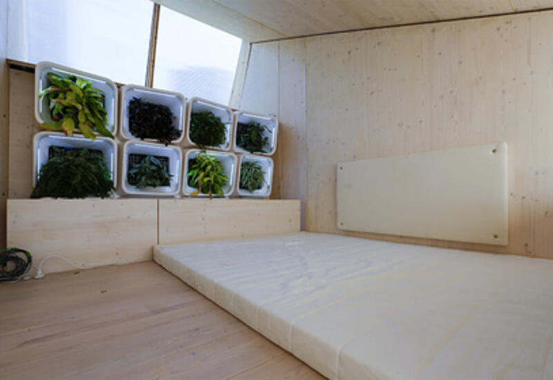 В Великобритании попросили снизить налог ради климата