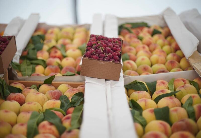 В Баку и Хырдалане пройдут сельскохозяйственные ярмарки