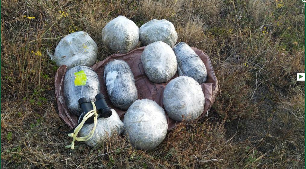 Госпогранслужба пресекла контрабандный ввоз наркотиков из Ирана