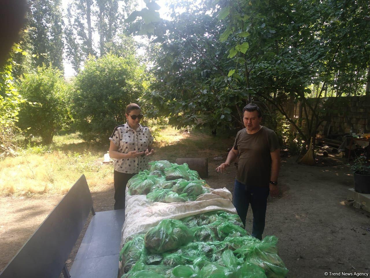 Deputat Sevil Mikayılovanın təşəbbüsü ilə Xudatda Qurban bayramı sovqatı paylanılıb