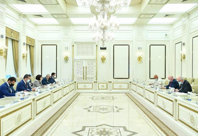 Сахиба Гафарова на переговорах с докладчиком ПАСЕ Полом Гаваном