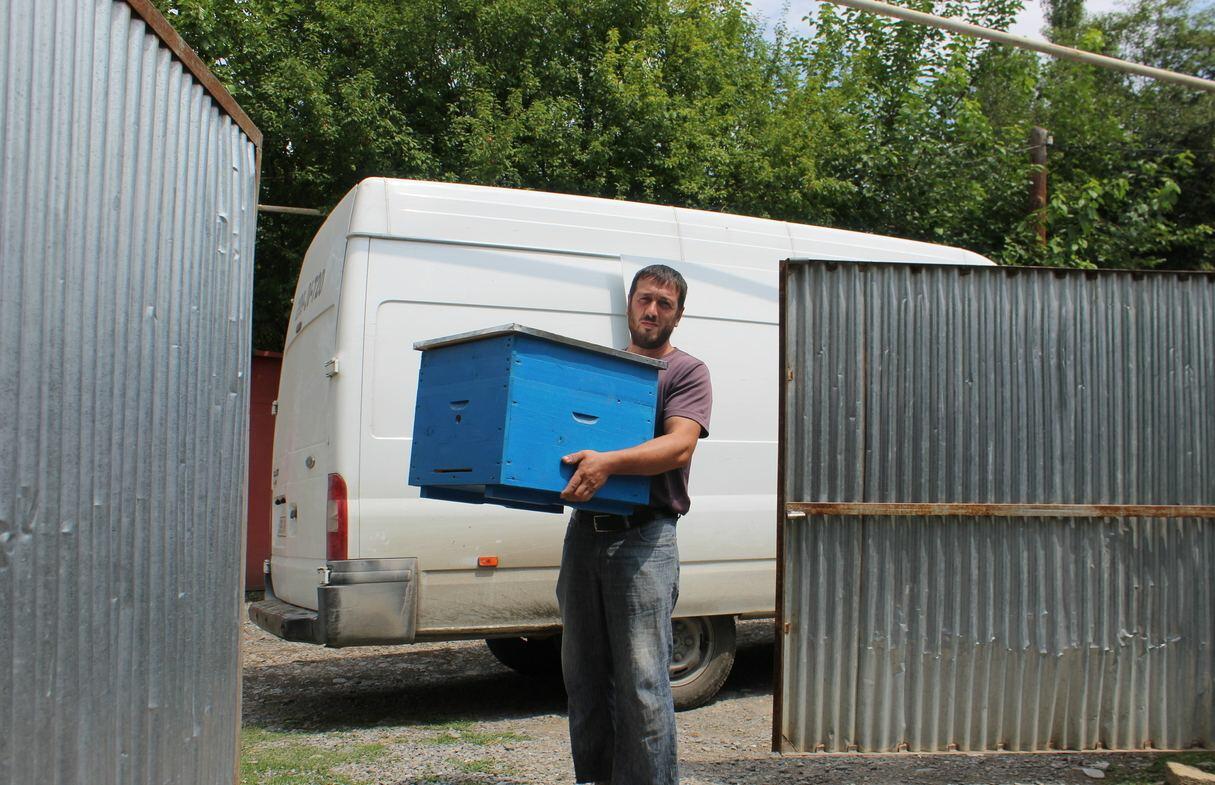 В Азербайджане для малообеспеченной молодежи созданы пчеловодческие хозяйства