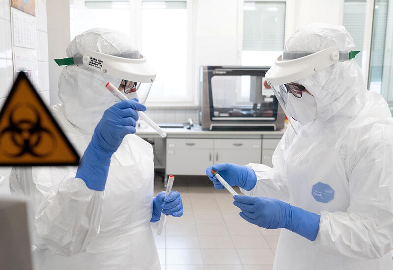 Эксперт прокомментировал версию об утечке SARS-CoV-2 из лаборатории в Ухане