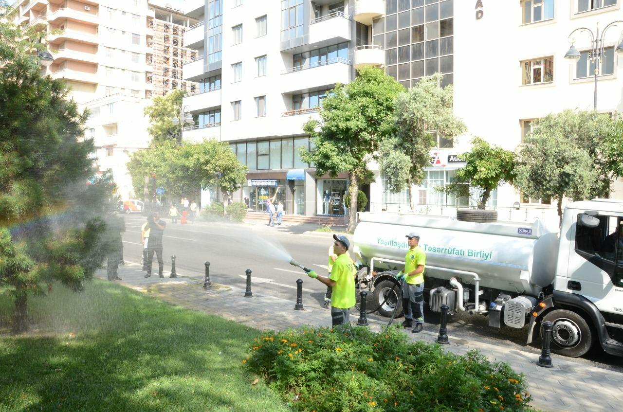 Bu gün Bakıda 546 küçə dezinfeksiya edilib
