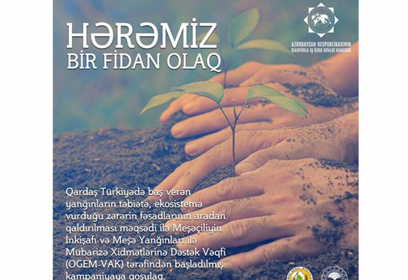 Dünya azərbaycanlıları Türkiyəyə həmrəylik nümayiş etdirir