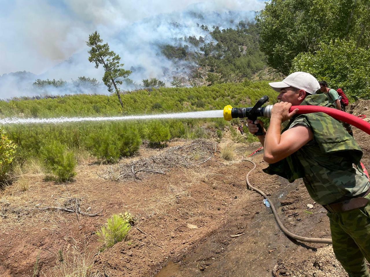 Азербайджанские пожарные локализовали крупные лесные пожары в Турции