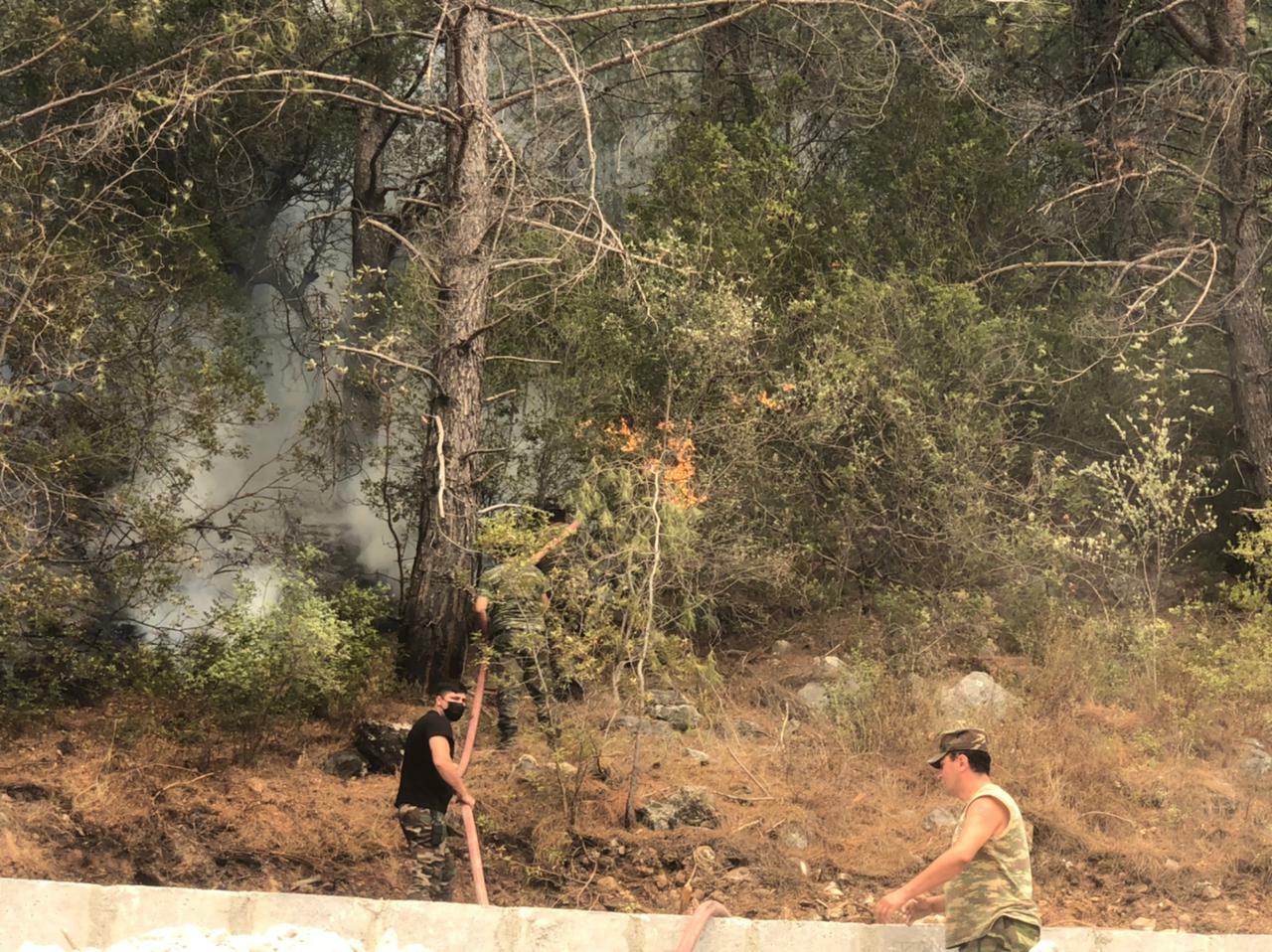 Азербайджанские пожарные локализовали крупные лесные пожары в Турции