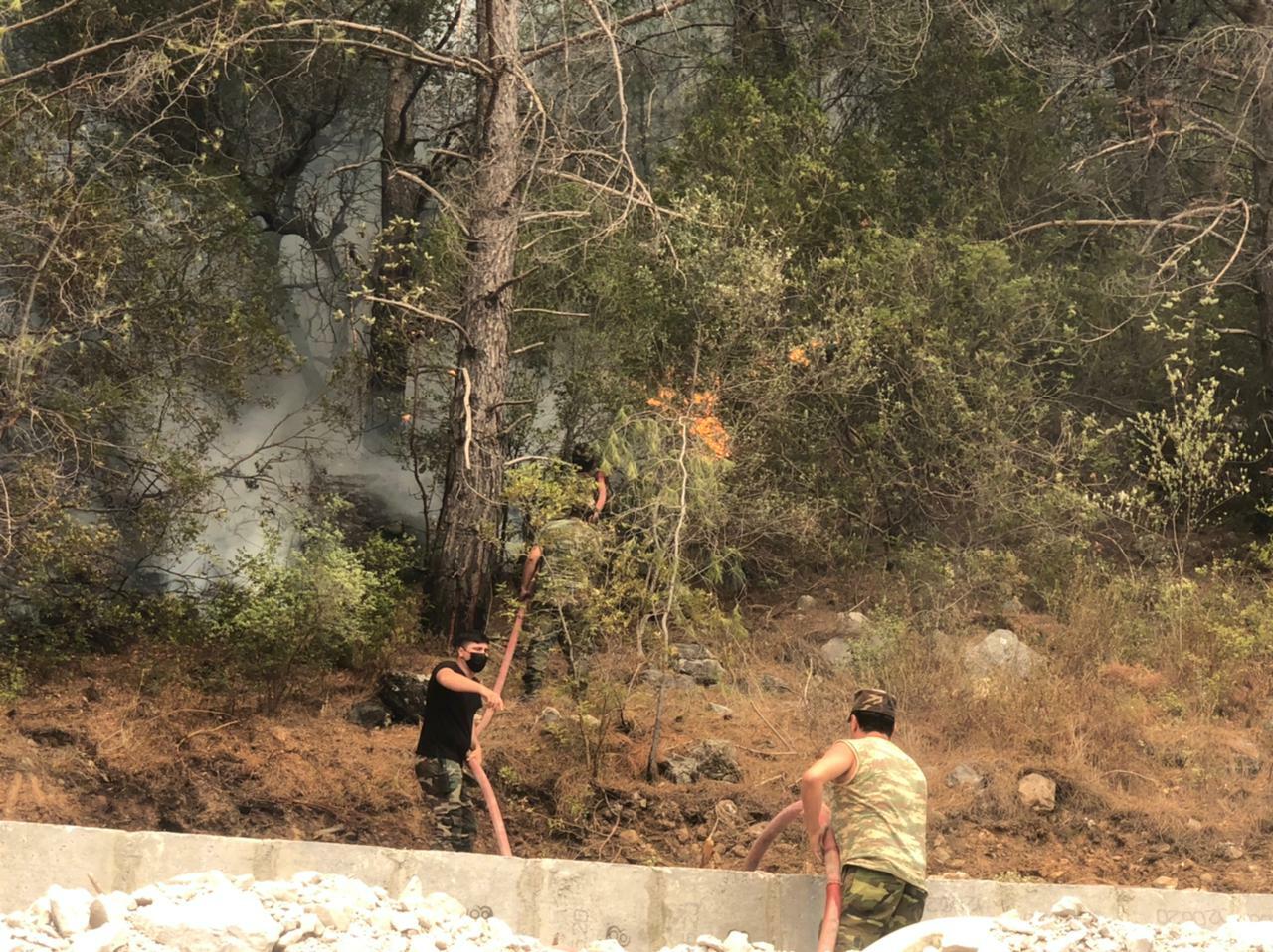 Азербайджанские пожарные локализовали крупные лесные пожары в Турции